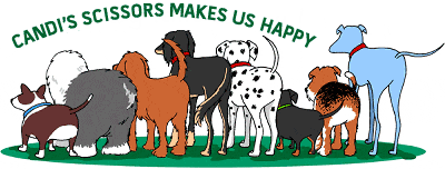 dog grooming animation