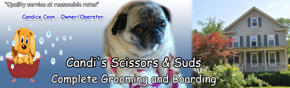 dog grooming logo