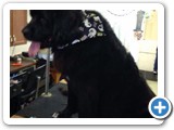 (null)_4